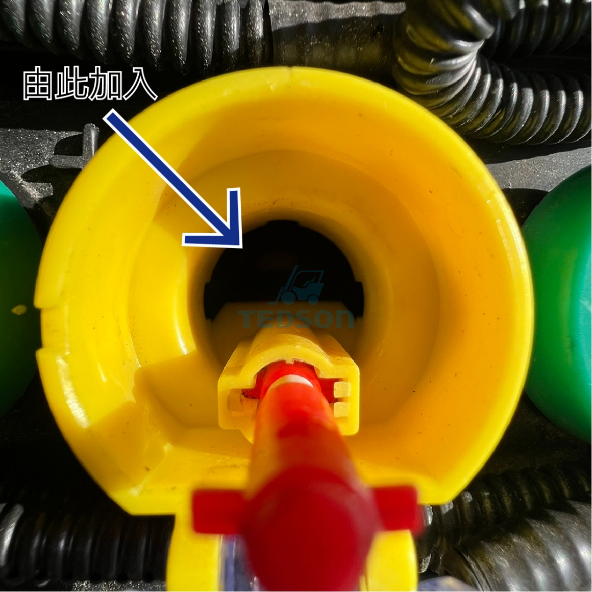 486561256_1139916841481913_7427465656517774560_n